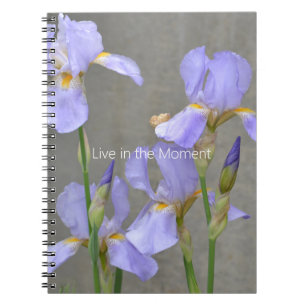 Carnet Fleurs d'Iris Violettes (ma photographie)