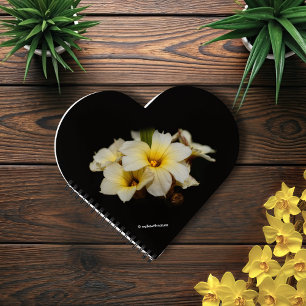 Carnet Fleurs élégantes en satin sur noir