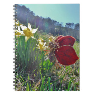 Carnet Fleurs et fleurs jaunes