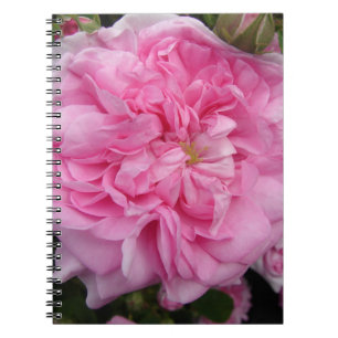 Carnet Fleurs florales Vintages roses