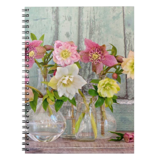 Carnet Fleurs | Hellebores dans Vases (Devant)