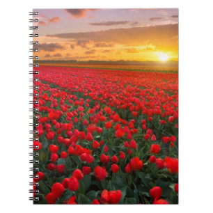 Carnet Fleurs Jardin botanique Hollande