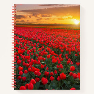 Carnet Fleurs   Jardin botanique Hollande
