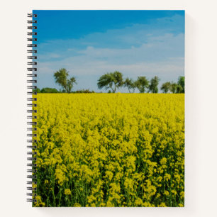 Carnet Fleurs jaunes
