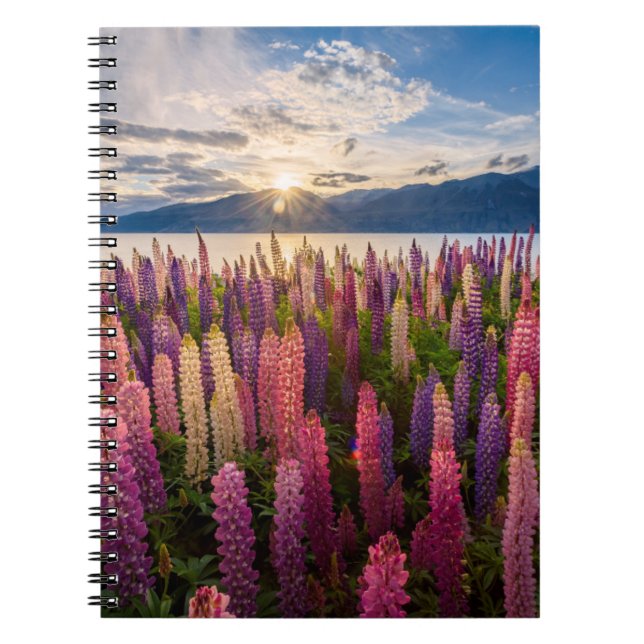 Carnet Fleurs | Lupines Nouvelle-Zélande (Devant)