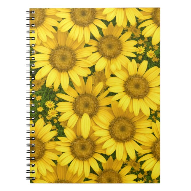 Carnet Fleurs marguerites jaunes (Devant)