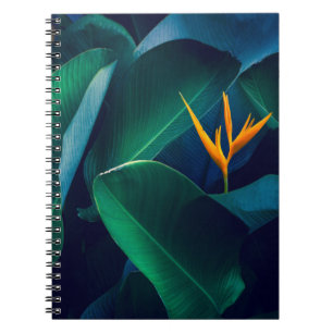 Carnet Fleurs Oiseau du paradis