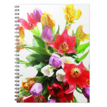 Fleurs romantiques de tulipes de ressort