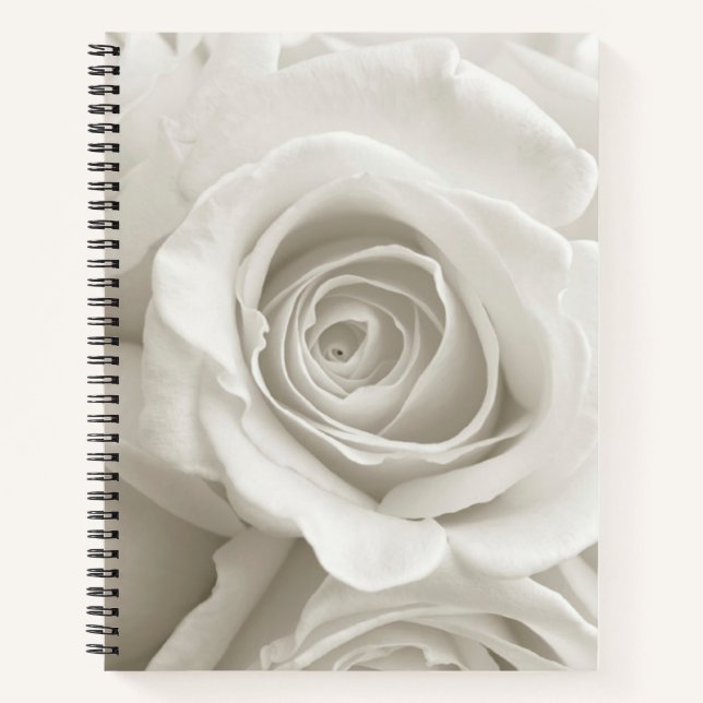 Carnet Fleurs | Roses blanches (Devant)