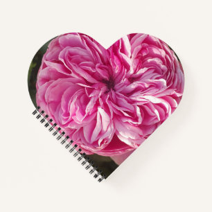 Carnet Fleurs Roses Vintages roses Nom Floral Femmes