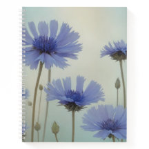 Fleurs sauvages éthérés