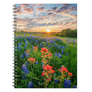 Carnet Fleurs   Texas Bluebonnets & Indian Paintbrush