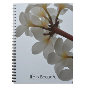 Carnet Fleurs tropicales de Plumeria Kauai (ma photograph