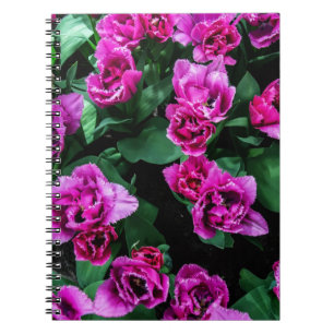 Carnet Fleurs tulipes roses