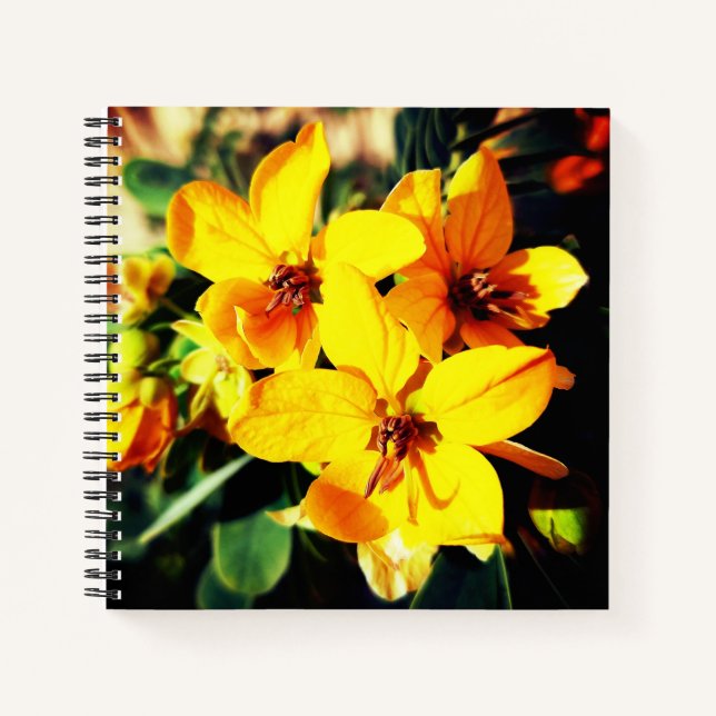 Carnet Fleurs vives (Devant)