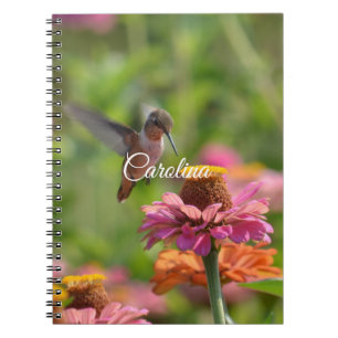 Carnet Fleurs Zinnia de colibri