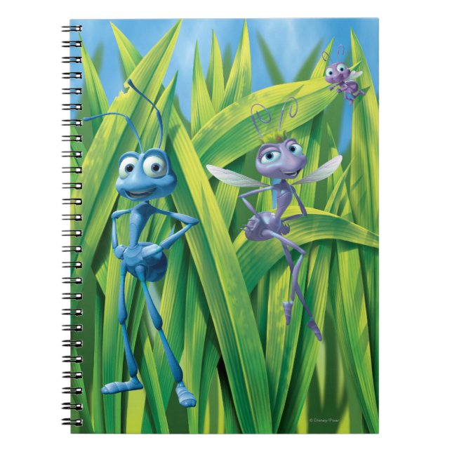 Carnet Flik, Dot et Princess Atta (Devant)