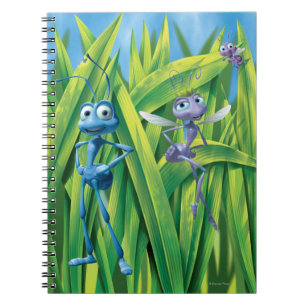 Carnet Flik, Dot et Princesse Atta