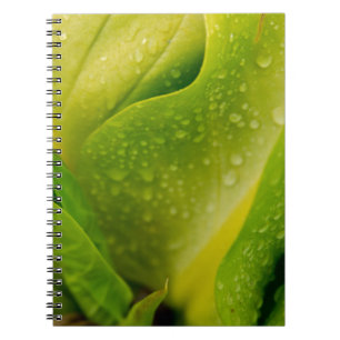 Carnet Flora Dominique 3