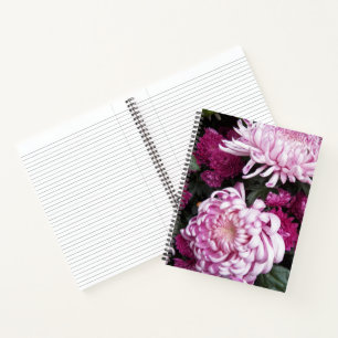 Carnet Floraison de chrysanthème rose