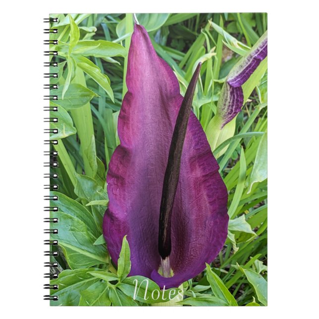 Carnet Floraison florissante de dragon violet Lily (Devant)