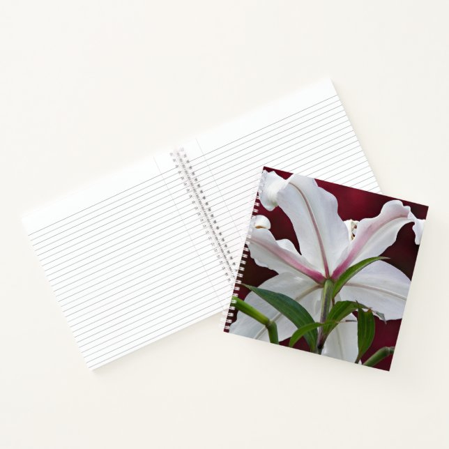 Carnet Floral à fleurs blanches orientales (Intérieur)