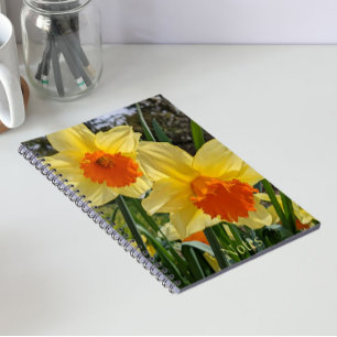 Carnet floral de jonquilles jaunes et oranges