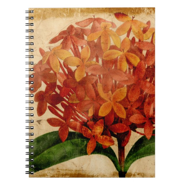Carnet Floral III (Devant)