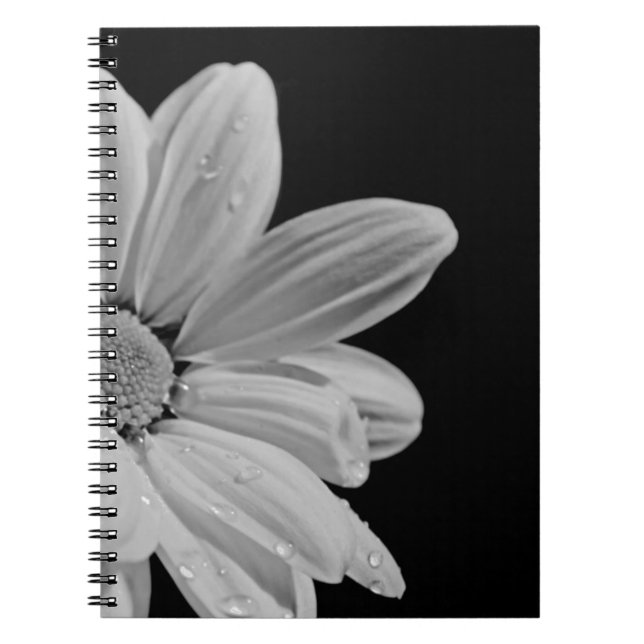 Carnet Floral Paisible (Devant)