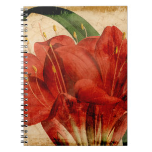 Carnet Floral vibrant VIII