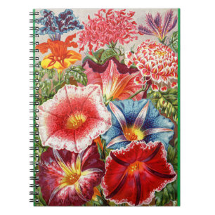 Carnet floral victorien de la spirale du matin glo