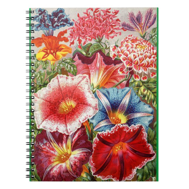 Carnet floral victorien de la spirale du matin glo (Devant)
