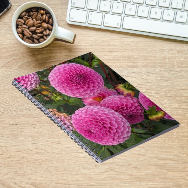 Carnet Flore de boule rose Dahlias (In Situ)