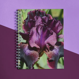 Carnet Flore d'iris violet profond