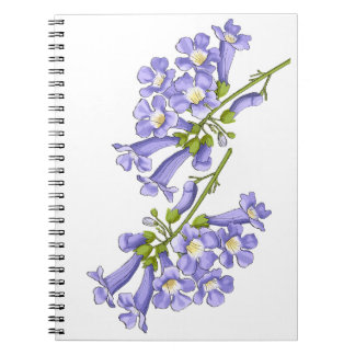 Carnet Flores do Brasil jacaranda