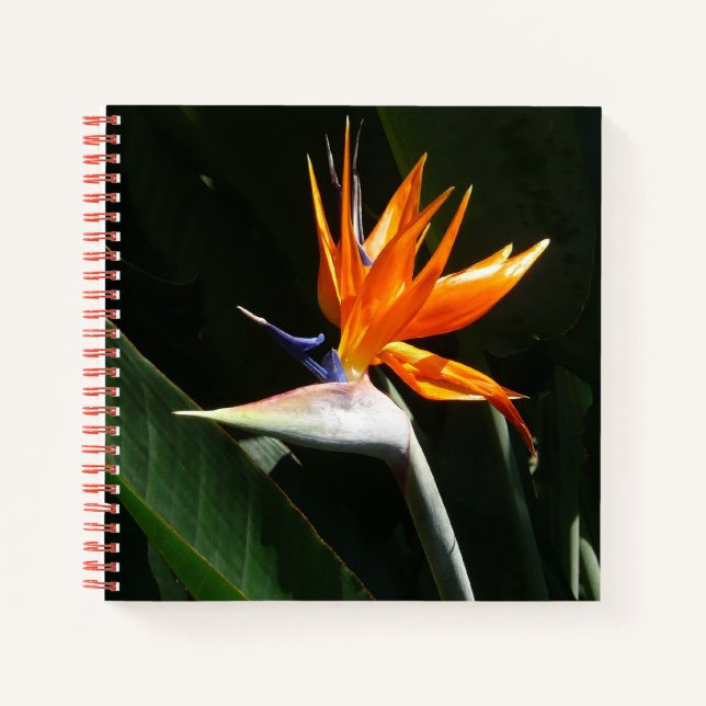 Carnet Flower tropical orange paradise (Devant)