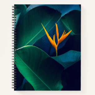 Carnet Flowers Bird of Paradise