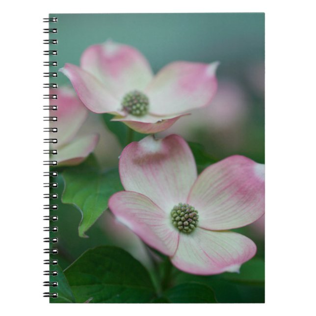 Carnet Flowers (homonymie) | Blossoms de Dogwood (Devant)