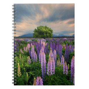 Carnet Flowers (homonymie) Lupine Field à New Zealand