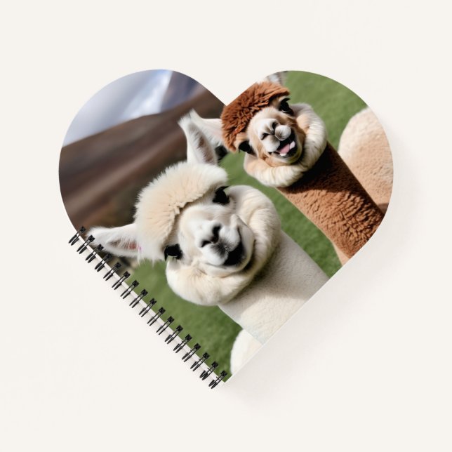 Carnet Fluff & Friendship (Devant)