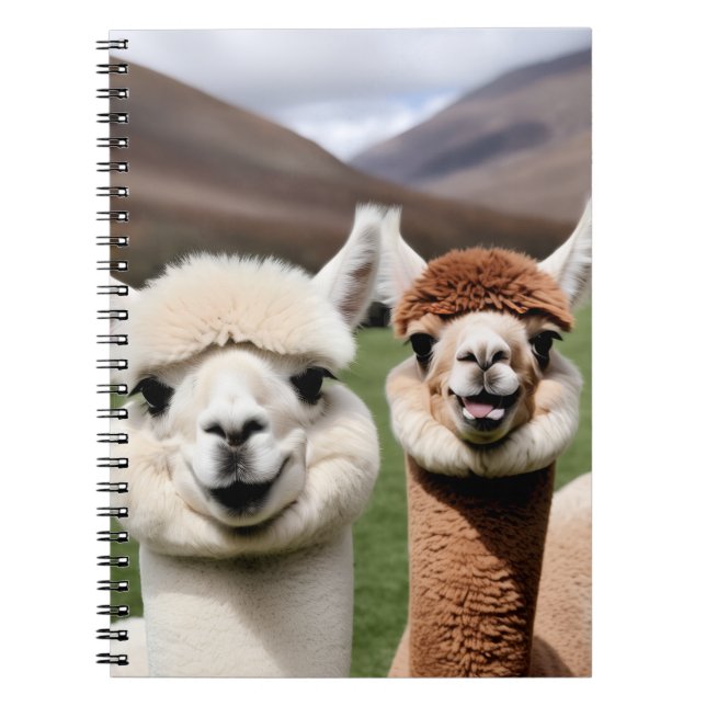 Carnet Fluff & Friendship (Devant)