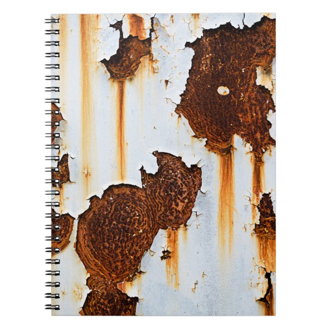 Carnet Flux de rouille blanche corrompu (Devant)