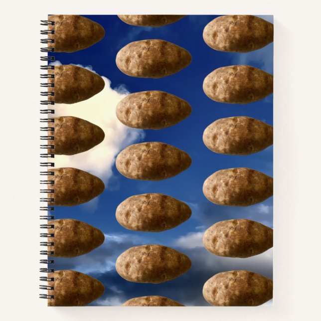 Carnet Flying Potatoes Space Potato Invasion (Devant)
