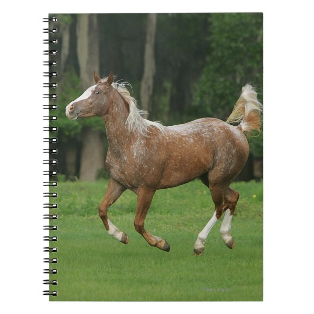 Carnet Fonctionnement de cheval d'Appaloosa (Devant)