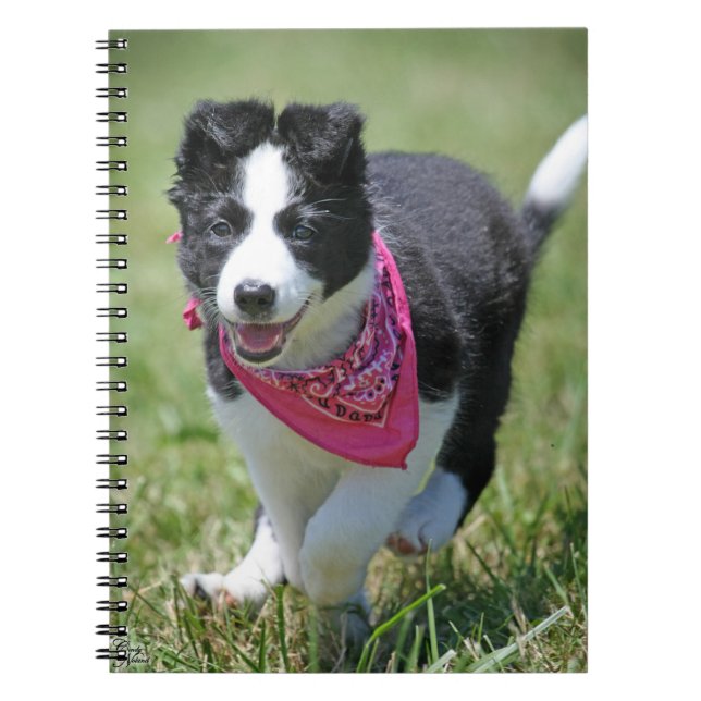 Carnet Fonctionnement de chiot de border collie (Devant)