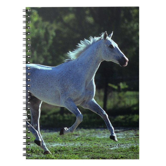 Carnet Fonctionnement d'étalon de pur sang (Devant)
