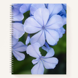 Carnet Fond floral bleu