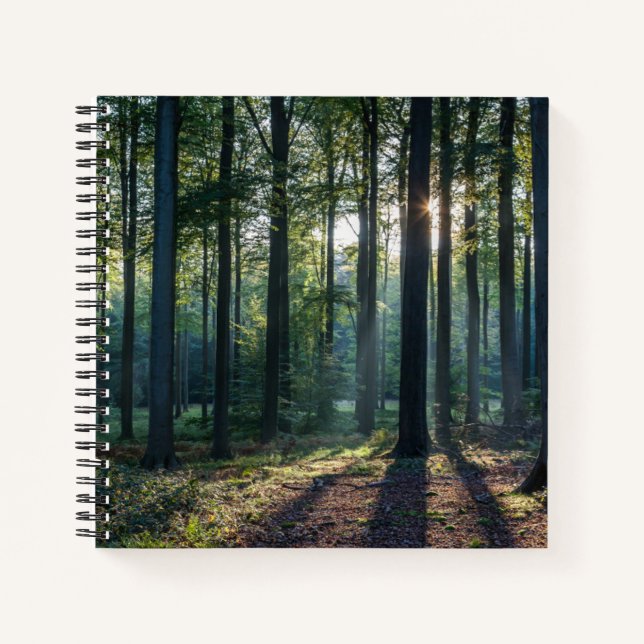 Carnet Forest | Black Forest Germany (Devant)