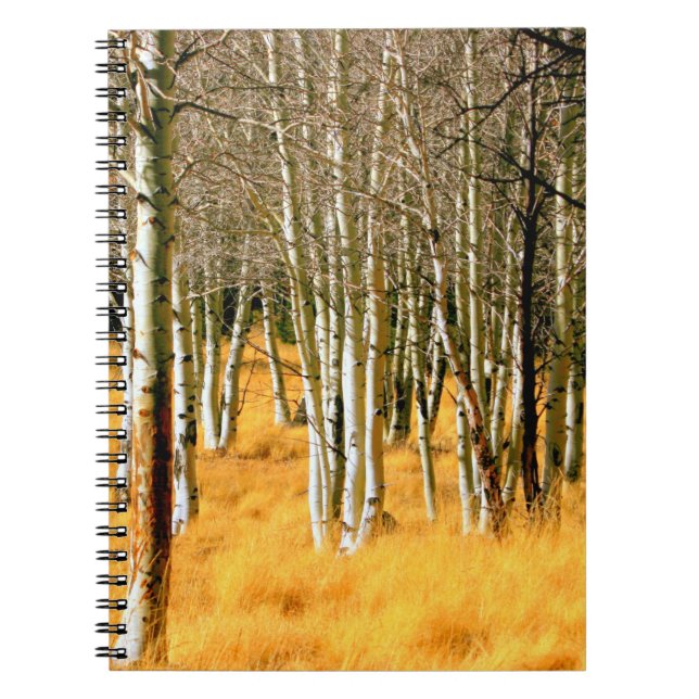 carnet forestier de peuplier (Devant)