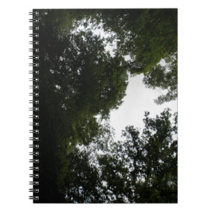 Carnet forestier déplaisant